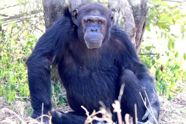 બીબીસી ગુજરાતી, ગુજરાત, બીબીસી, અમદાવાદ, 