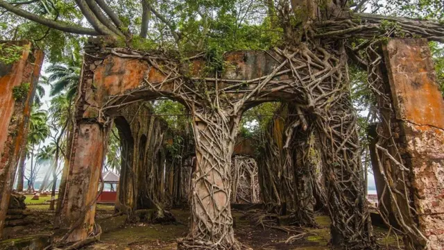 （圖片來源：Neelima Vallangi）