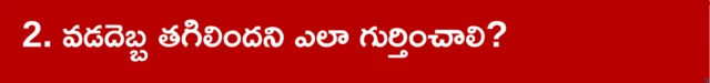 ఆంధ్రప్రదేశ్, వేసవికాలం, వడదెబ్బ