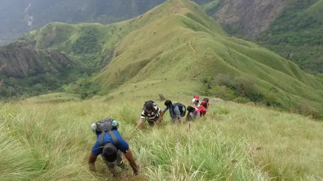 எவ்வளவு சதவீத தீக்காயம் மரணத்தை விளைவிக்கும்?