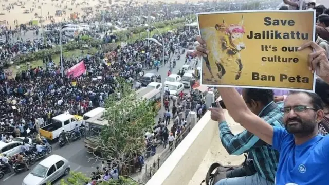 ஜல்லிக்கட்டு போராட்டம்