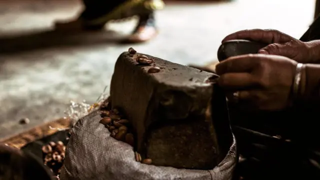 （圖片來源：Zakaria Aït Wakrim）