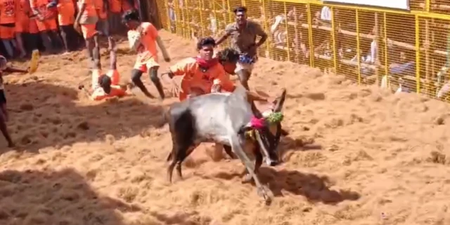 அவனியாபுரம் ஜல்லிக்கட்டு: 22 காளைகளை பிடித்தவருக்கு கார் பரிசு - முழு விவரம்