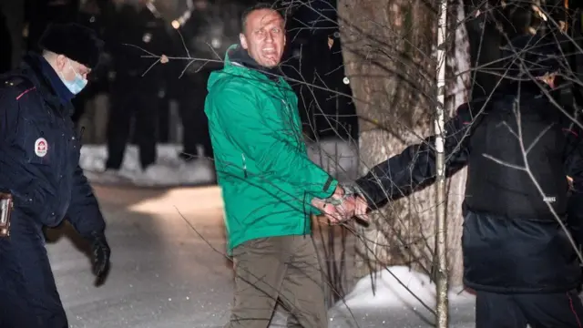 آلکسی ناوالنی، رهبر مخالفان دولت ولادیمیر پوتین