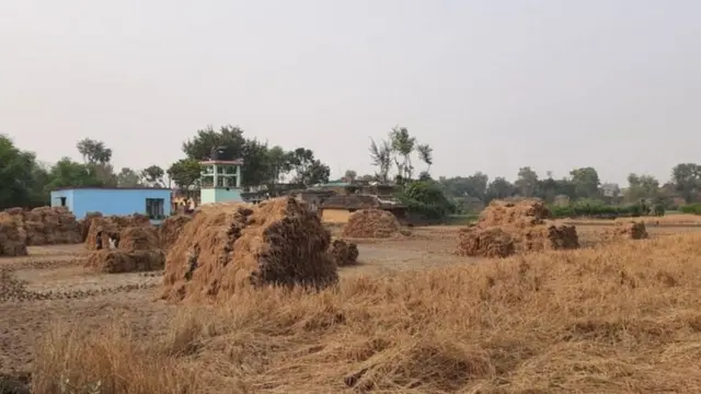 नितीश कुमार, बिहार, शेती, कृषी कायदे