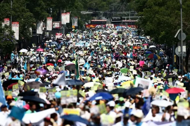 meksika protestoları