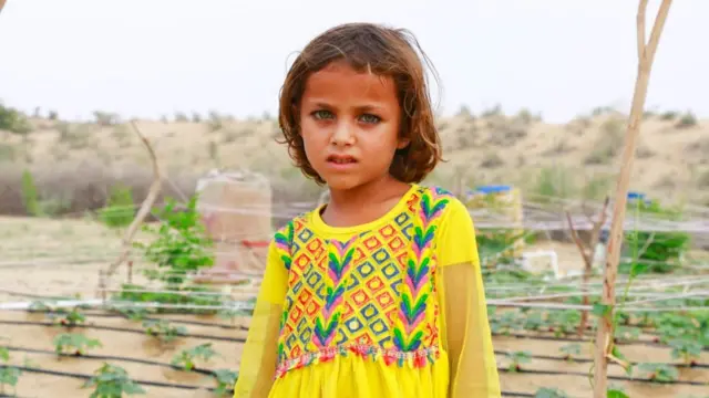 سندھ کا صحرائی علاقہ تھر