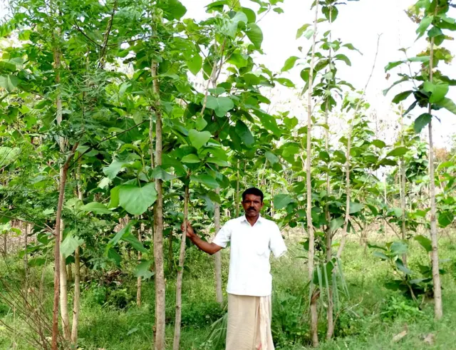 టేకు మొక్కల మధ్య బానోతు రాజు