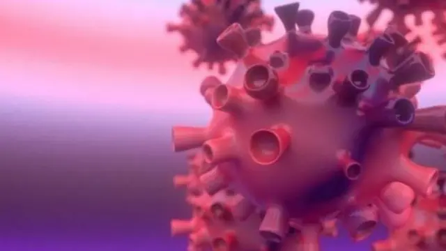 කොවිඩ් වෛරසය