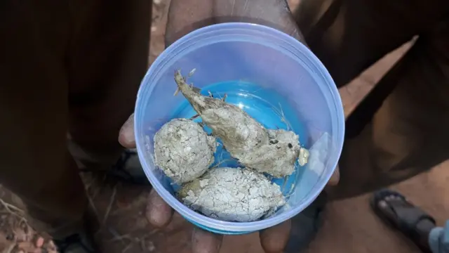 సేకరించిన పులి మలాన్ని డీఎన్‌ఏ పరీక్షల కోసం హైదరాబాద్‌లోని సీసీఎంబీకి పంపుతారు