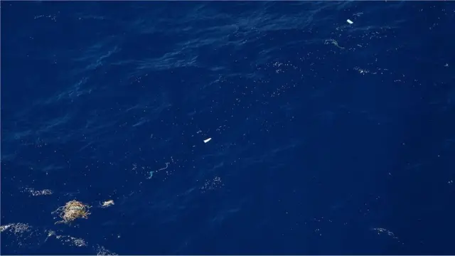 Mikroplastika čini 94 odsto procenjenih 1,8 biliona komada plastike koji čine Veliku pacifičku hrpu smeća