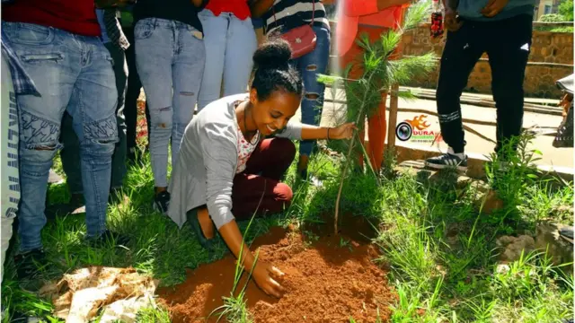 የቴክቫ የቤተሰብ አባል በችግኝ ተከላ ላይ ተሳትፋ