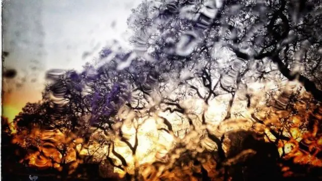 بعدسات الجمهور: النوافذ