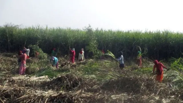 फाइल तस्बिर