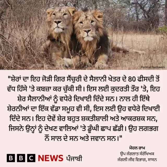 ਜੈ-ਵੀਰੂ ਸ਼ੇਰ