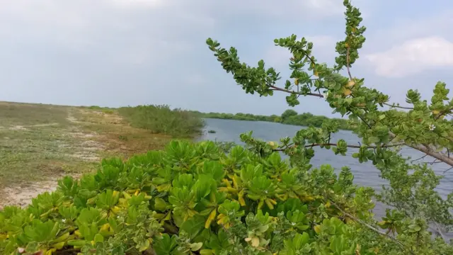 “මේ දුපතේ බලන්න මොනවාද තියෙන්නේ ?” මගේ ප්රශ්නය යොමු වුයේ ඇන්ටනි වෙතය" මොනවාද බලන්න නැත්තේ කියලා තමයි අහන්න ඕනෑ , ගොඩක් දේවල් තියනවා මේ දුපතේ වගේම මේ අවට ."ඇන්ටනි මුලින්ම පෙන්වුයේ විජය කුමාරයා ලංකාවට ගොඩ බසින ලදැයි කියන ස්ථානයයි."