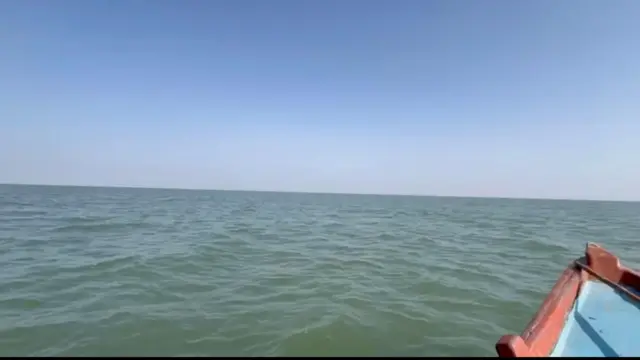 સુરેન્દ્રનગર, કચ્છનું નાનું રણ, કચ્છનું મોટું રણ, ઘુડખર, કચ્છ જિલ્લો, સુરેન્દ્રનગર જિલ્લો, બીબીસી ગુજરાતી, ગુજરાત, અગરિયાઓની સ્થિતિ, વરસાદનું પાણી, કચ્છમાં પાણી, ગુજરાતના સમાચાર