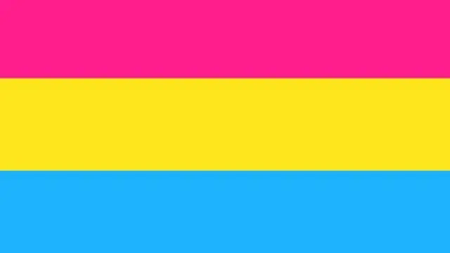 panseksüel bayrağı