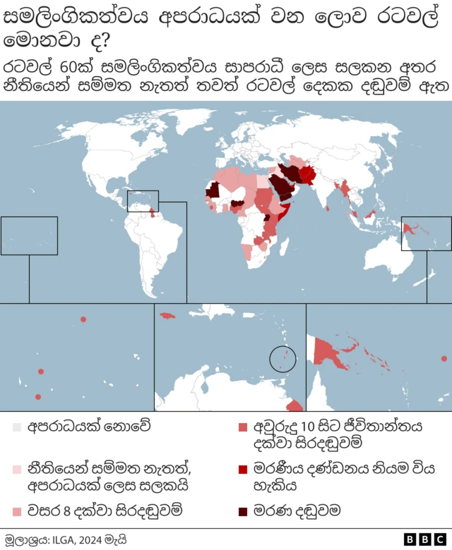 සමලිංගිකත්වය සම්බන්ධයෙන් බොහෝ සෞඛ්‍ය ආයතනවල ආකල්ප වෙනස් වුව ද, සමලිංගික භීතිකාව, ද්විලිංගික භීතිකාව සහ සංක්‍රාන්ති භීතිකාව නීති මගින් සහ නිල ප්‍රතිපත්ති මගින් ස්ථාපනය කර ඇති බොහෝ රටවල් තවමත් තිබේ.