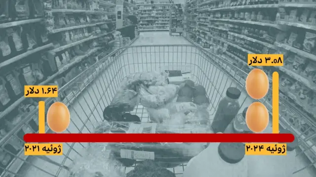 تورم بالا در آمریکا بسیاری از مردم را با مشکلات مالی مواجه کرده