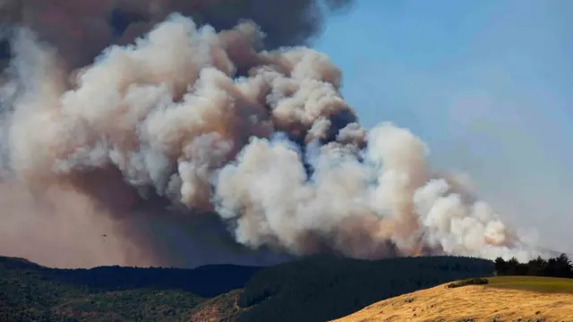 лесной пожар в Порт Хиллс