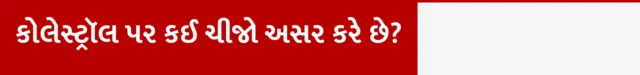 બીબીસી ગુજરાતી ચરબી ફેટ કોલેસ્ટ્રૉલ હૃદયરોગ હાર્ટ એટેક આરોગ્ય બીમારી ફાઈબર