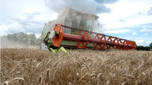 مزارعون أوكرانيون يحصدون حقلاً للقمح في مدينة خاركيف