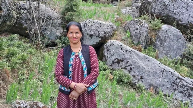 हिमाचल बारिश