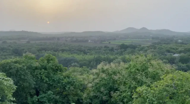 گر کے جنگلات