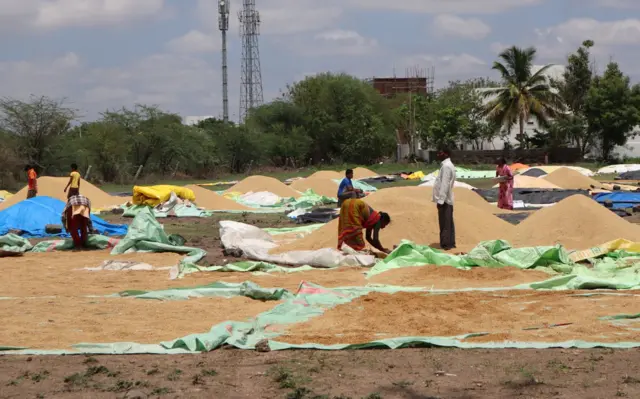 వ్యవసాయం, తెలంగాణ