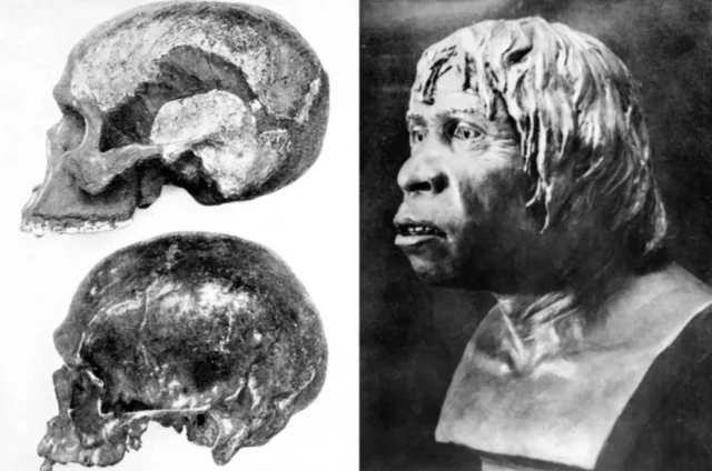 மனிதகுலத்தின் தொட்டில் 