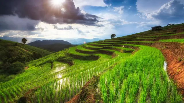 కృత్రిమ వర్షాలు