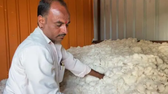 कापूस उत्पादक शेतकरी