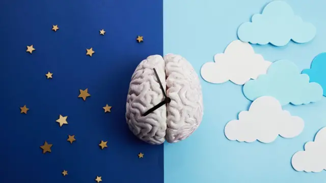 የአንጎል ምልክት፣ ምሽትና ቀን የሚወክል ምስል