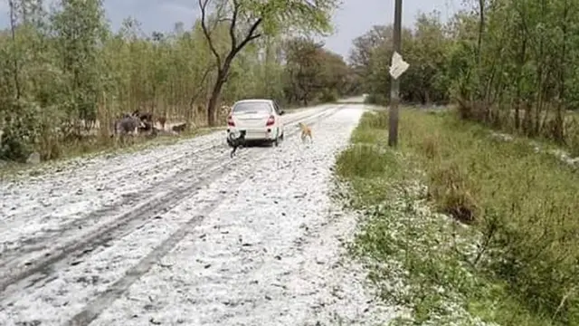 ओला वृष्टि