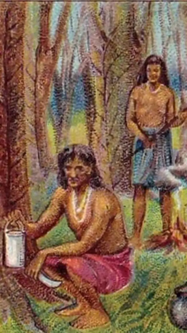 Watu wa kiasili walitoa mpira kutoka kwa miti ili kuzalisha mpira.