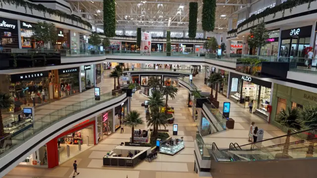 Centro comercial Paseo la Galería