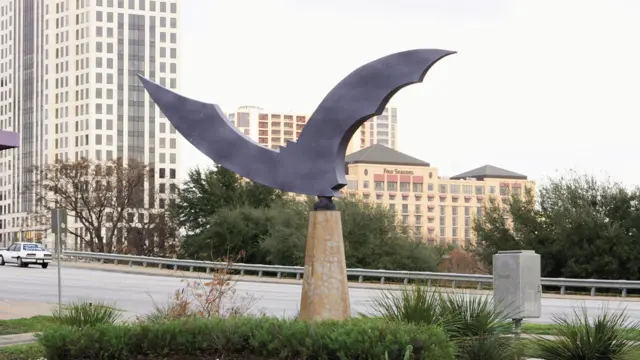 Escultura del artista Dale Whistler de un murciélago en metal en una calle en Austin