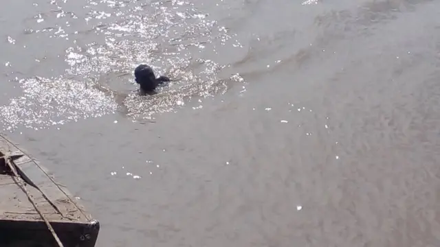 Local diver dey search for bodies for di scene of di incident