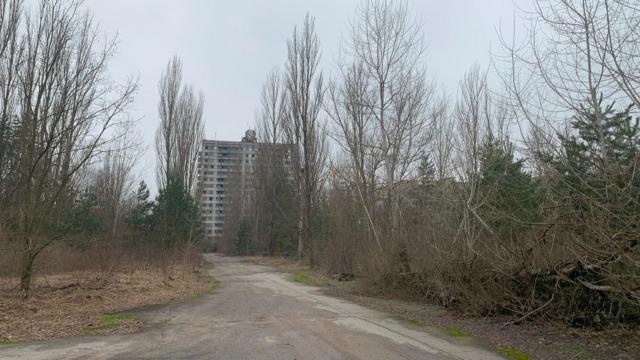 Чорнобильська зона 814