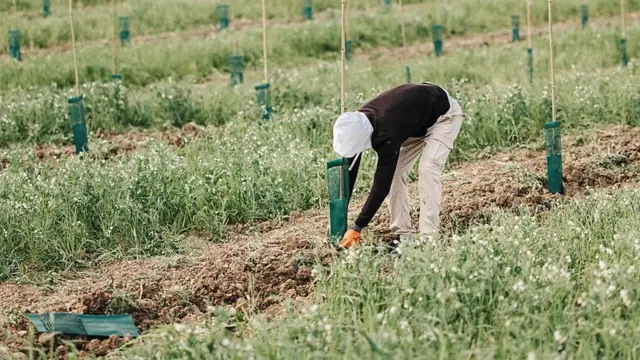 Човек обрађује земљу