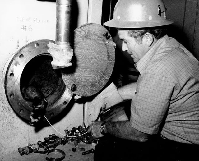 รูปตัวเฟอร์เร็ตกับนักวิทยาศาสตร์