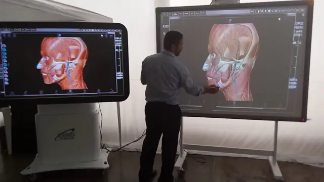 plataformanovibet experienceanatomia 3D