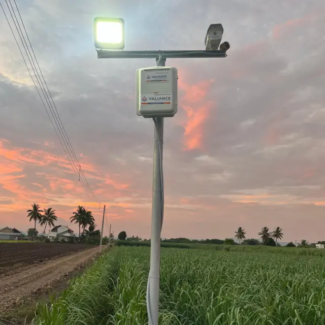 शेतामध्ये लावलेले कॅमेरे