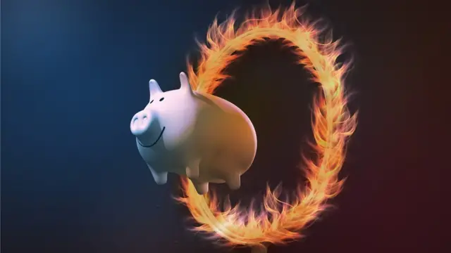Un cerdito pasa por un anillo de fuego