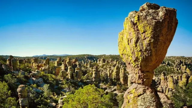 （图片来源：Zack Frank）