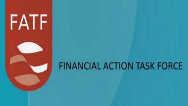 گروه ویژه اقدام مالی برای پیشگیری از پولشویی و ممانعت از حمایت مالی گروه‌های تروریستی فعالیت می‌کند
