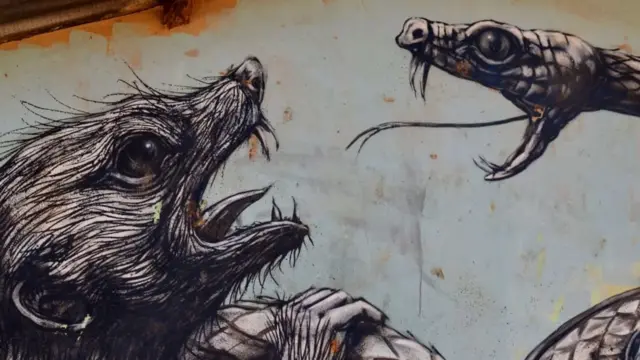 L'artiste et graffeur belge ROA peint les animaux locaux