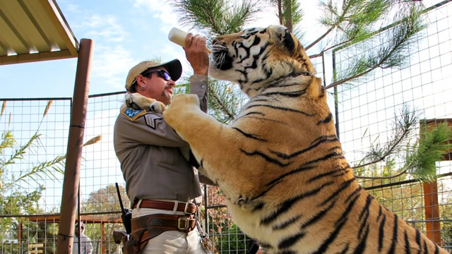 Joe Exotic com um tigre