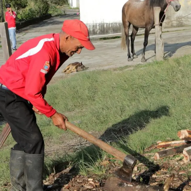 José del Carmen Cárdenas.